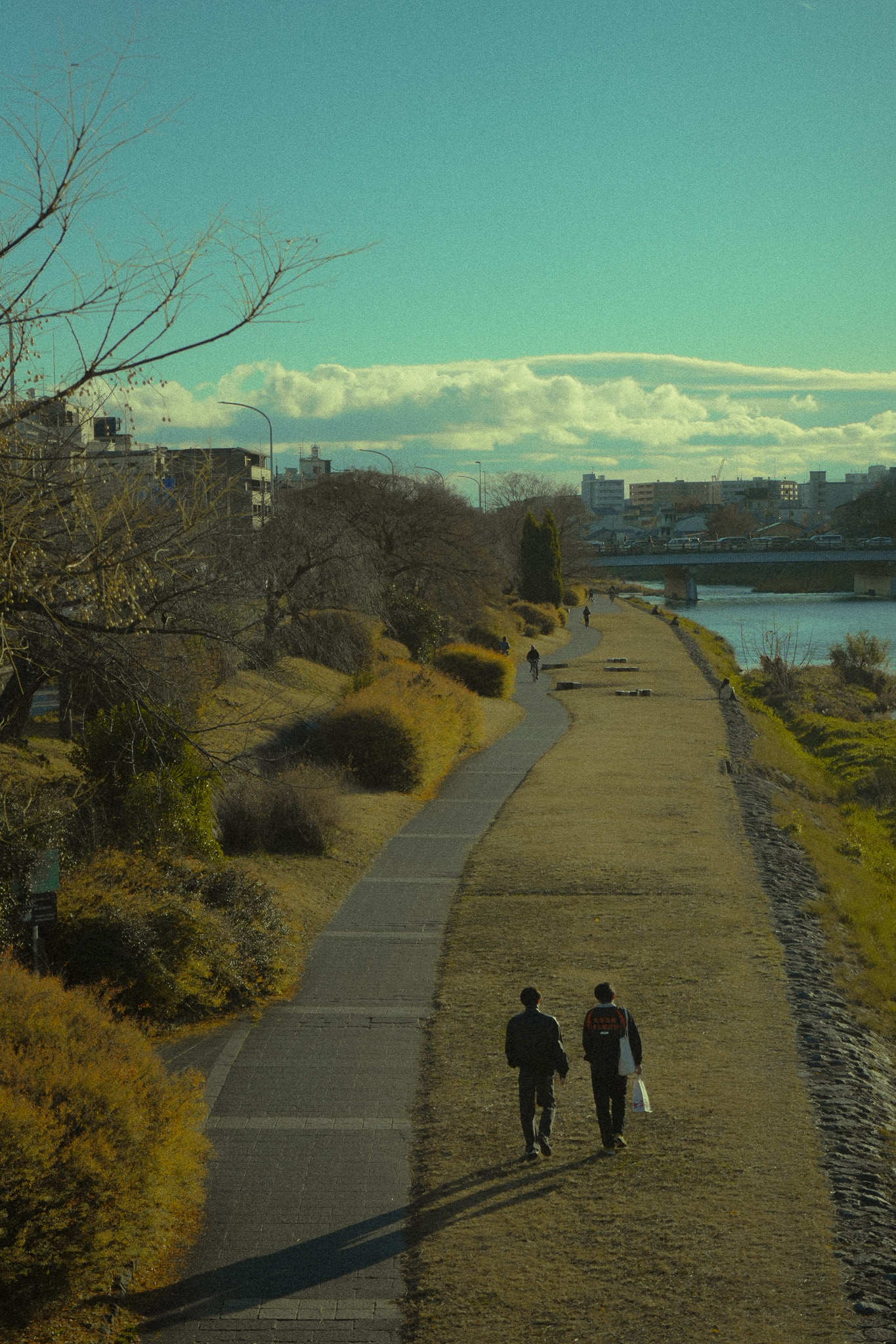 Photo 4